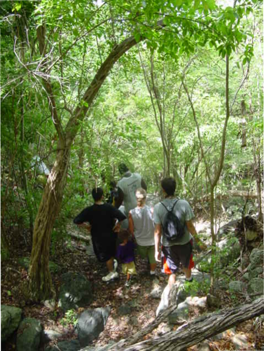 UVI students on the nature trail