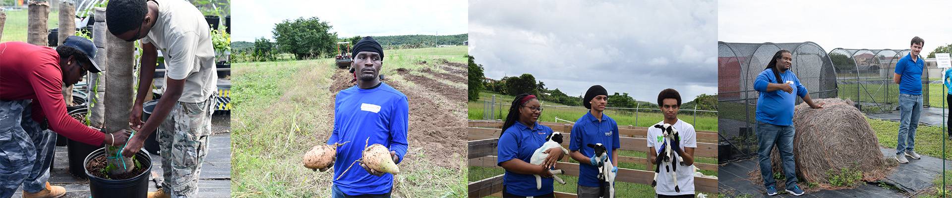 UVI Research and Technology Park