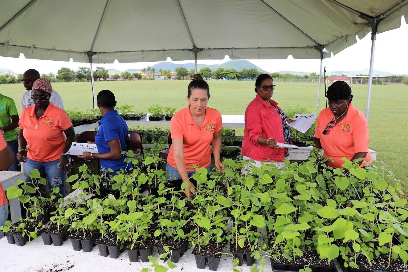 World food day seedling distribution