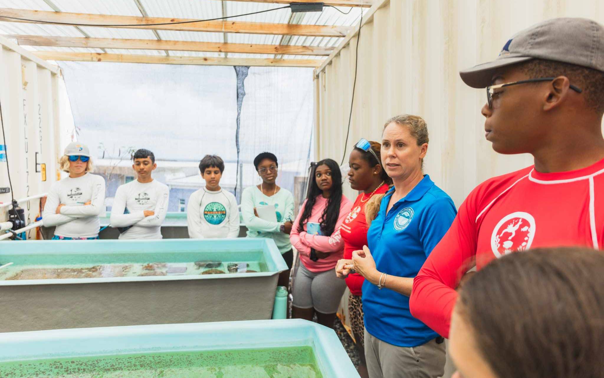 Dr. Marilyn Brandt speaking with students about coral restoration 