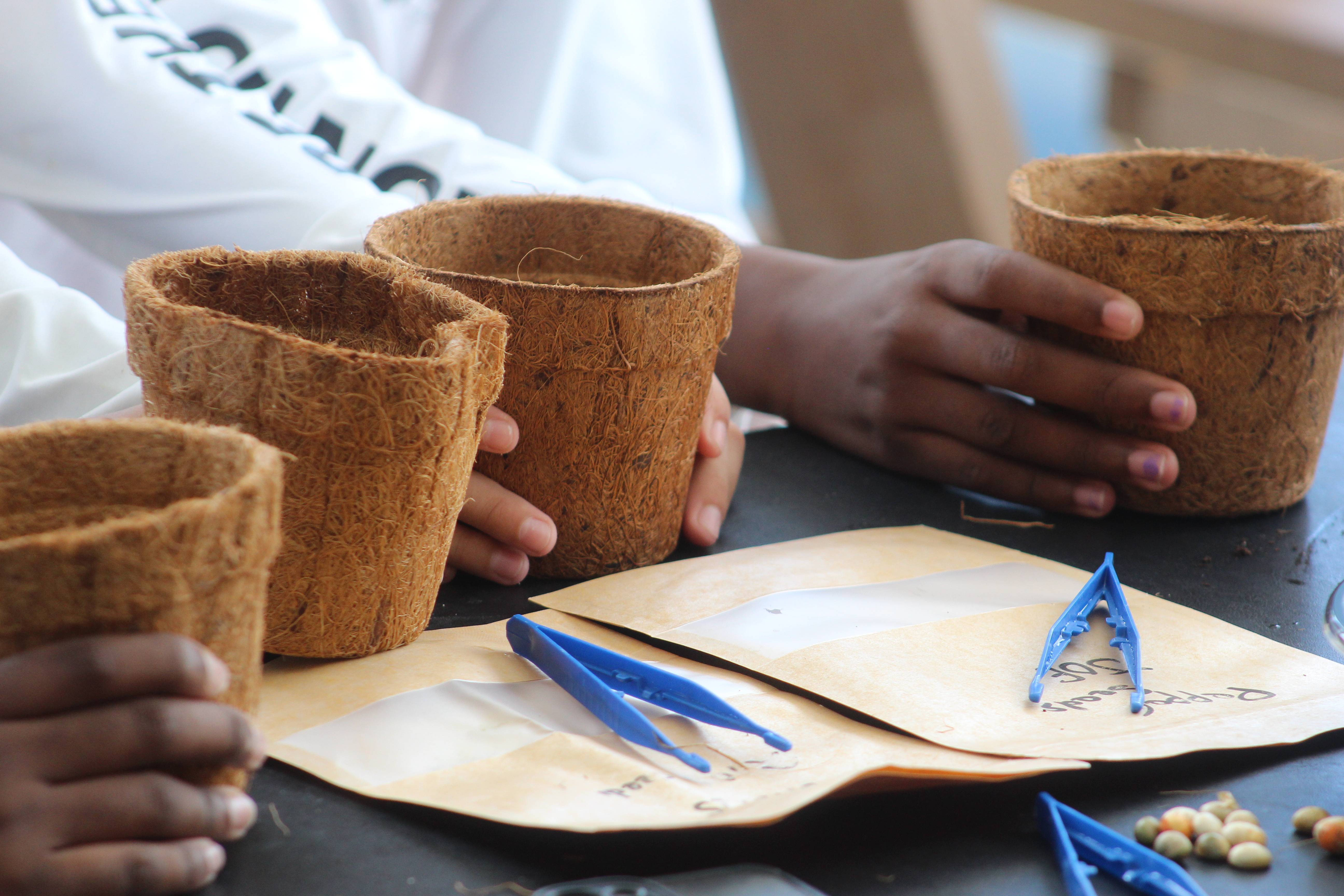 JOE students planting a variety of seeds from papaya, peppers, to red mangroves.
