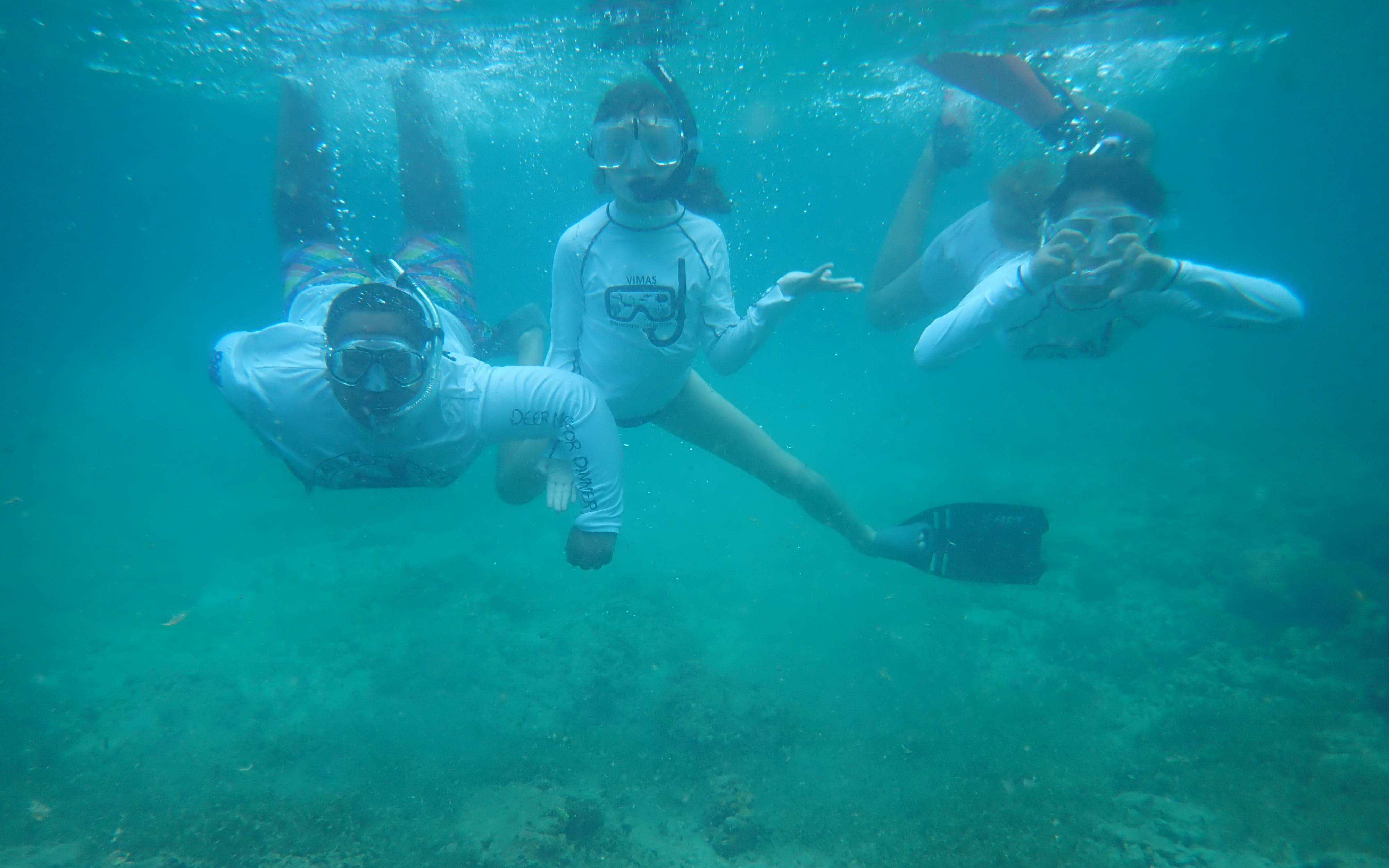 Students swimming underwater