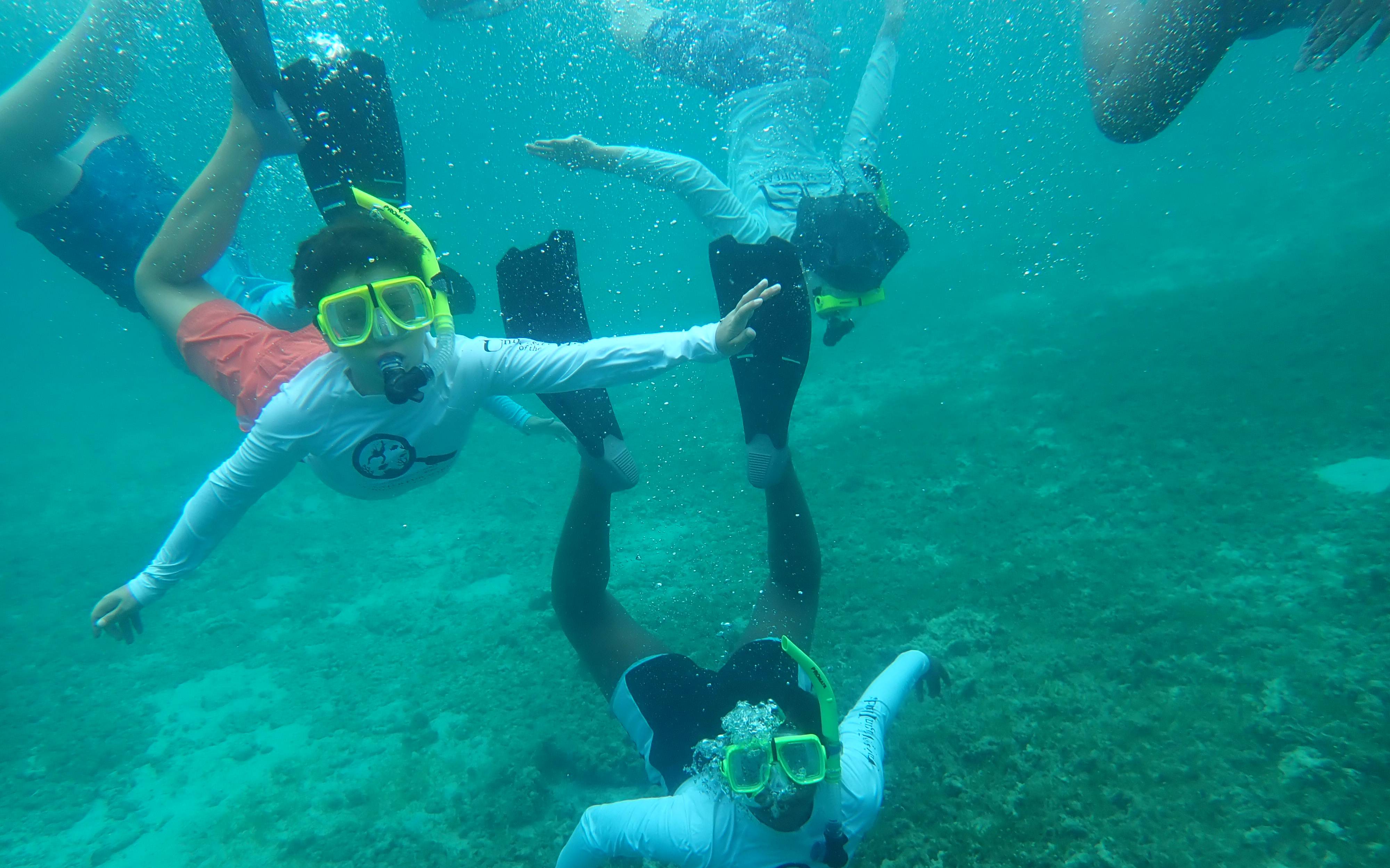 Students snorkeling 