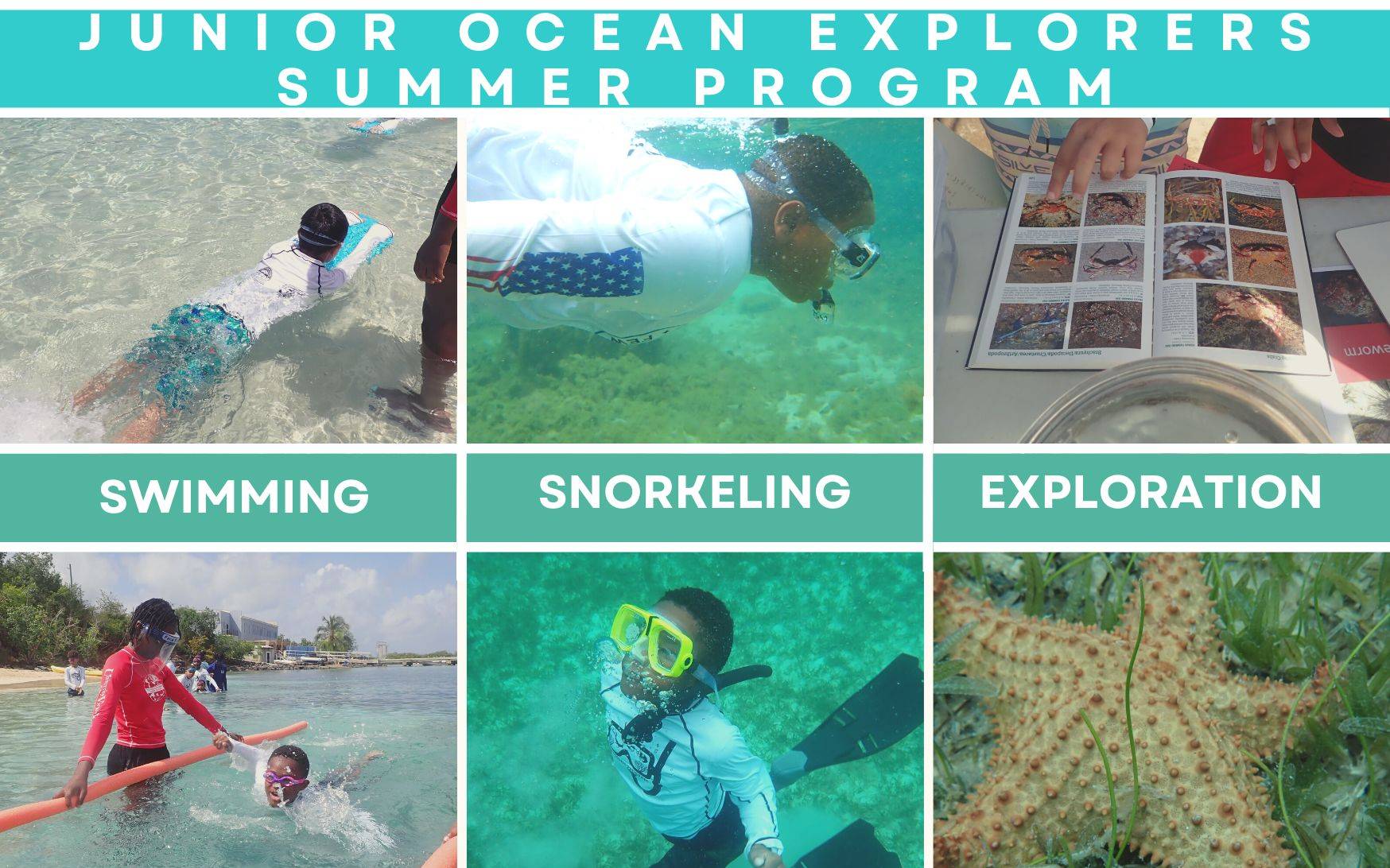 Junior Ocean Explorers Postcard 