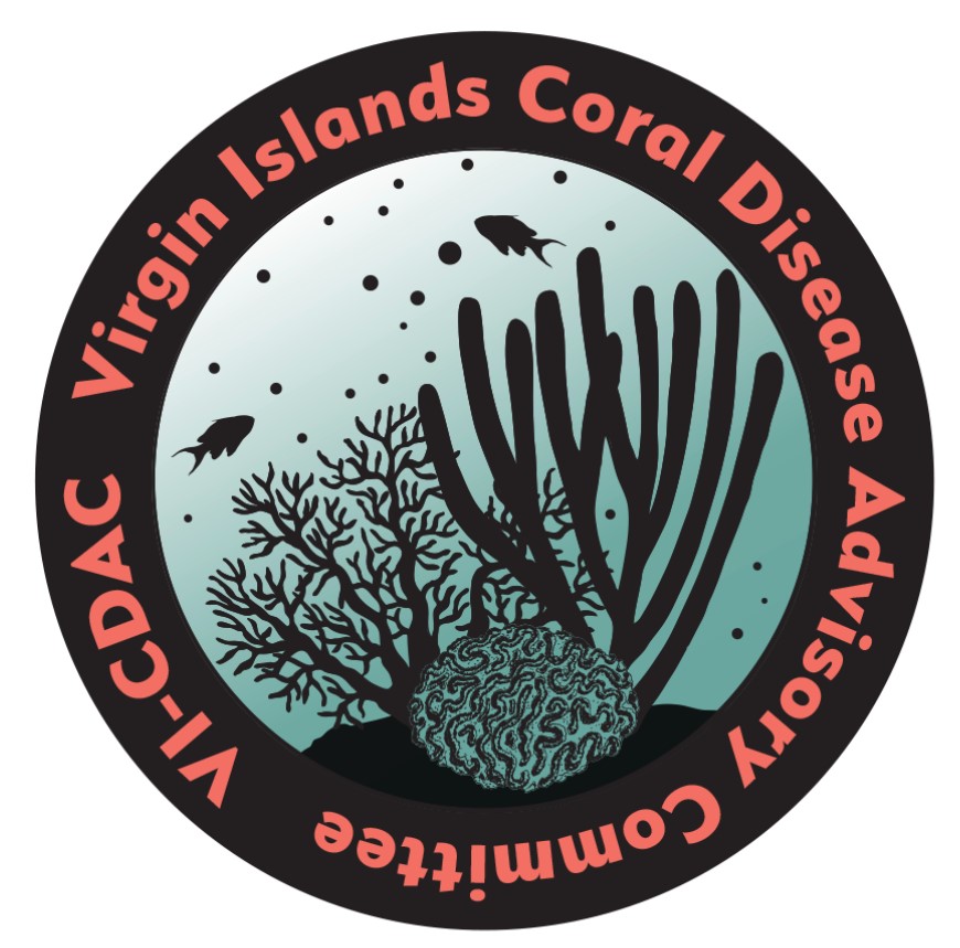 coral disease 