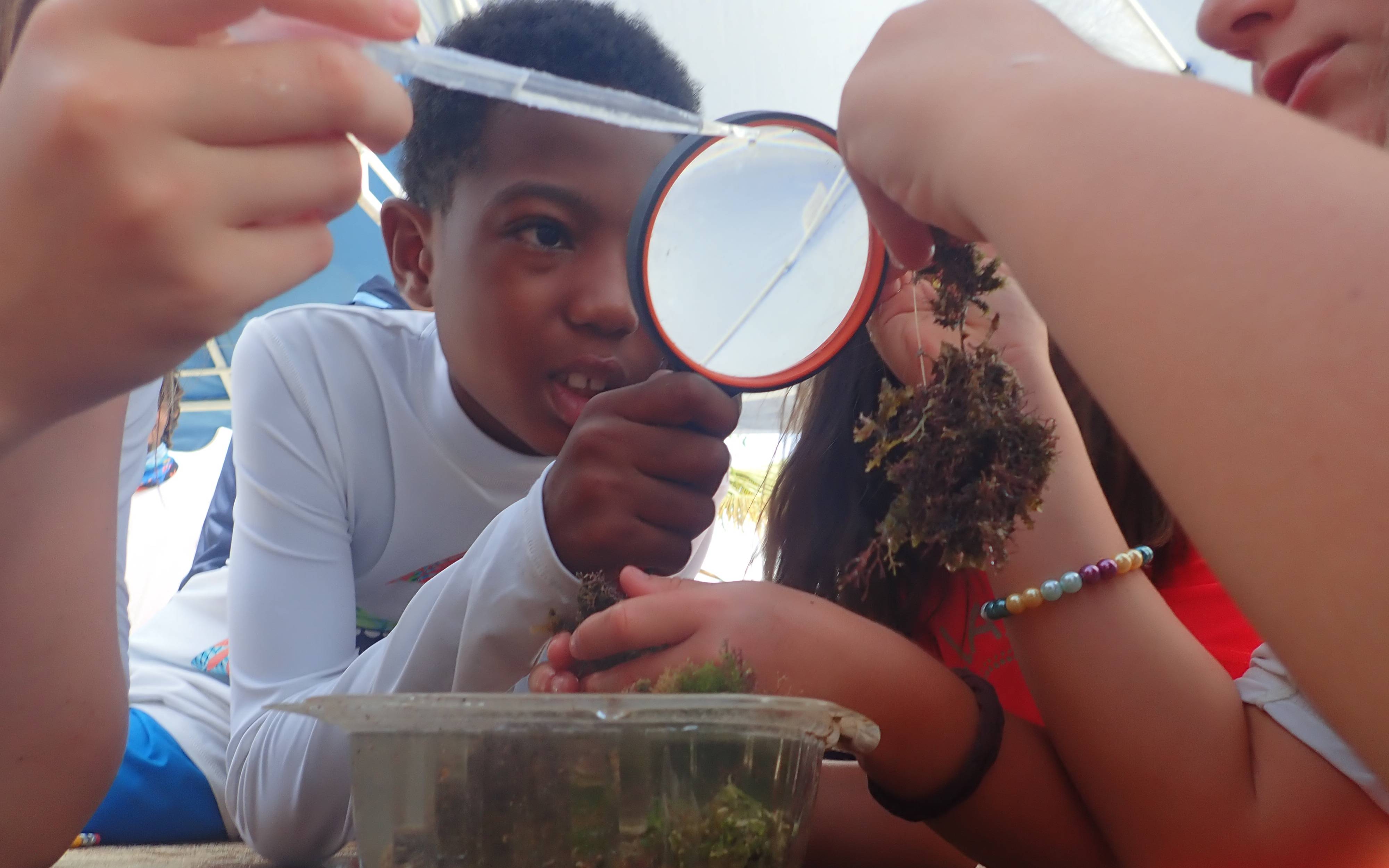 Students looking through algae 