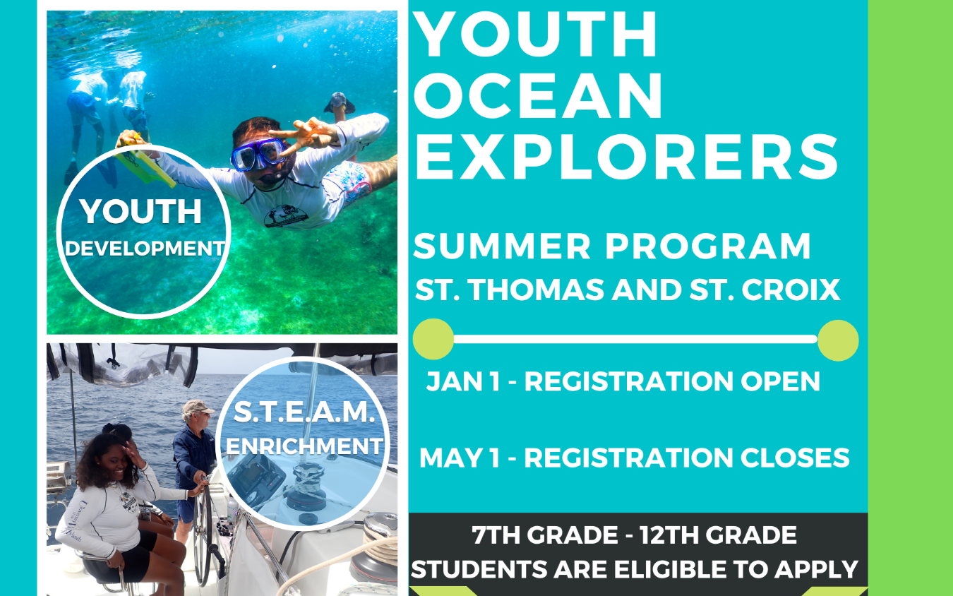 Youth Ocean Explorers Postcard