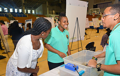 Students View Posters at Research Day Activity