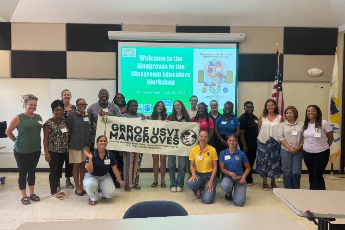 mangrove_workshop